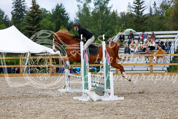 2025 - Haylee - Picco Horse Show - Sunday July 27th 02174