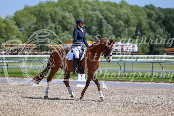 2025 - Dressage Festival - Saturday July 5th - 06370