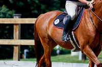 2025 - Haylee - Picco Horse Show - Thursday July 24th 04223
