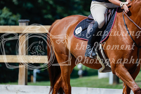 2025 - Haylee - Picco Horse Show - Thursday July 24th 04223