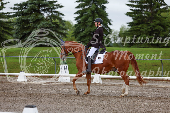 2025 - Dressage Festival - Sunday July 6th - 01329
