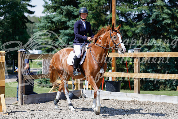 2025 - Haylee - Picco Horse Show - Thursday July 24th 03894