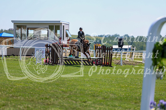 2025 - Shea - Teesdale - Thursday July 24th - 01167