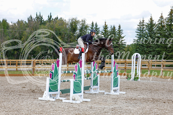 2025 - Haylee - Picco Horse Show - Saturday July 26th 07598