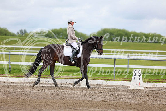 2025 - Dressage Festival - Sunday July 6th - 10573