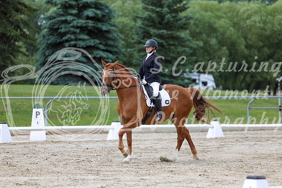 2025 - Dressage Festival - Saturday July 5th - 11176