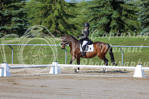 2025 - Dressage Festival - Saturday July 5th - 00418