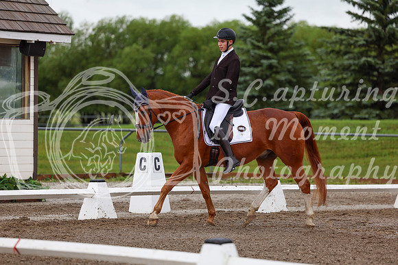 2025 - Dressage Festival - Sunday July 6th - 01338