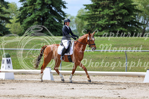2025 - Dressage Festival - Saturday July 5th - 07868