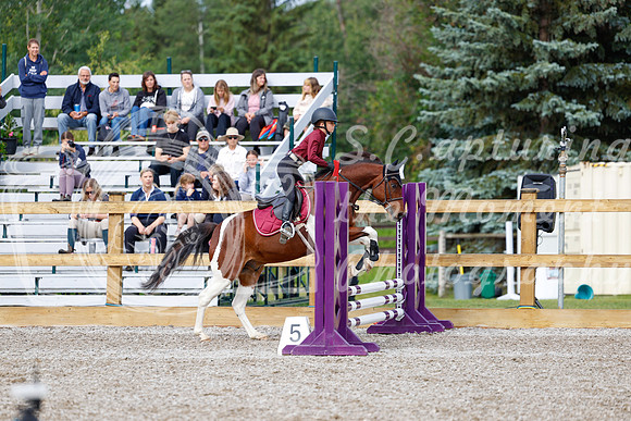 2025 - Haylee - Picco Horse Show - Friay July 25th 00580