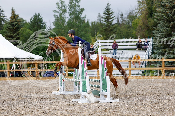 2025 - Haylee - Picco Horse Show - Sunday July 27th 01246