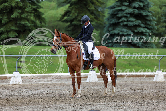 2025 - Dressage Festival - Sunday July 6th - 12274