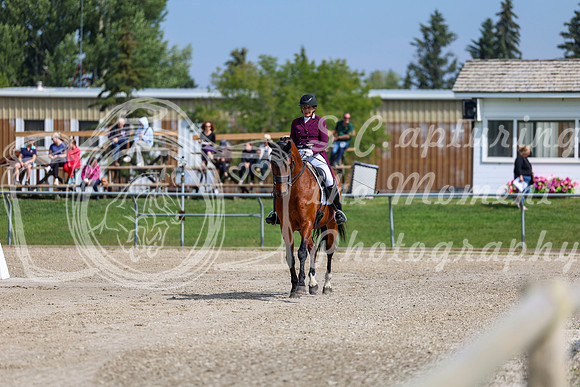 2025 - Dressage Festival - Saturday July 5th - 03061