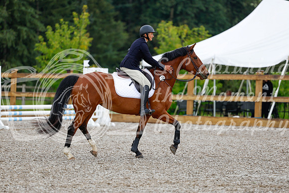 2025 - Haylee - Picco Horse Show - Sunday July 27th 00459