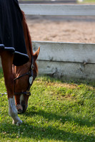 2025 - Mykenzi - Jump With Hope - Thursday July 17th 00011