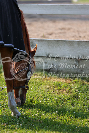 2025 - Mykenzi - Jump With Hope - Thursday July 17th 00011