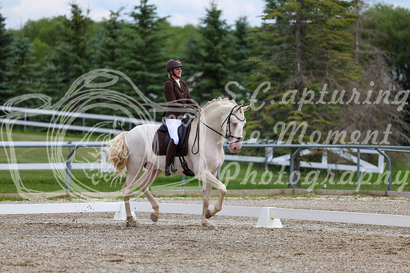 2025 - Dressage Festival - Saturday July 5th - 12141