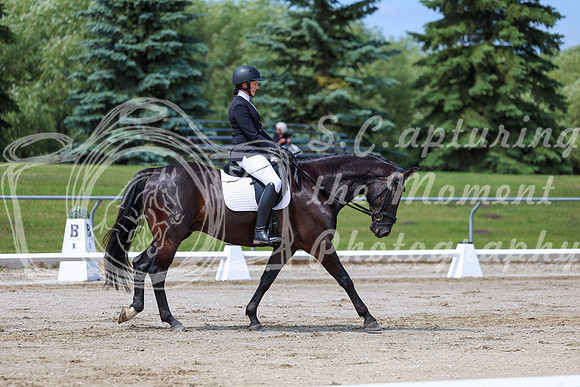 2025 - Dressage Festival - Saturday July 5th - 07098