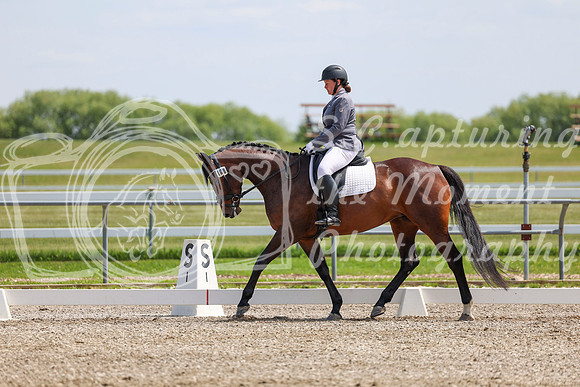 2025 - Dressage Festival - Saturday July 5th - 07044
