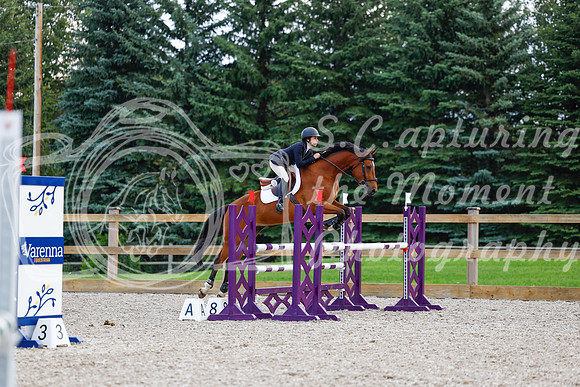 2025 - Haylee - Picco Horse Show - Sunday July 27th 04881
