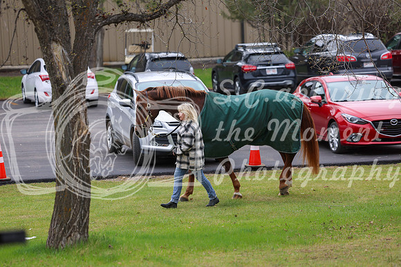 2025 - Shea - Bow Valley II - Friday May 16th - 00011