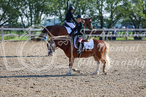2025 - Dressage Festival - Saturday July 5th - 00039