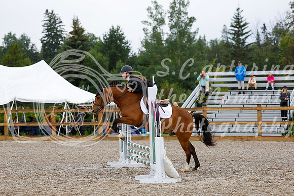 2025 - Haylee - Picco Horse Show - Sunday July 27th 00522