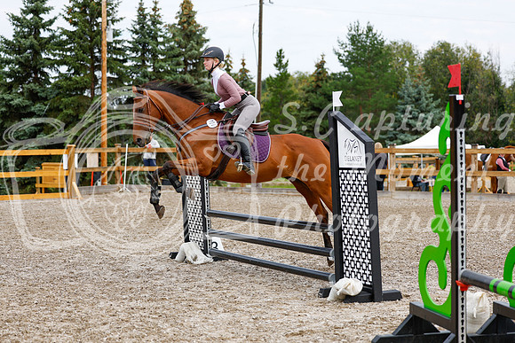 2025 - Haylee - Picco Horse Show - Saturday July 26th 01688
