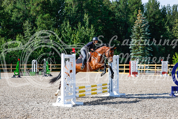 2025 - Haylee - Picco Horse Show - Thursday July 24th 00864