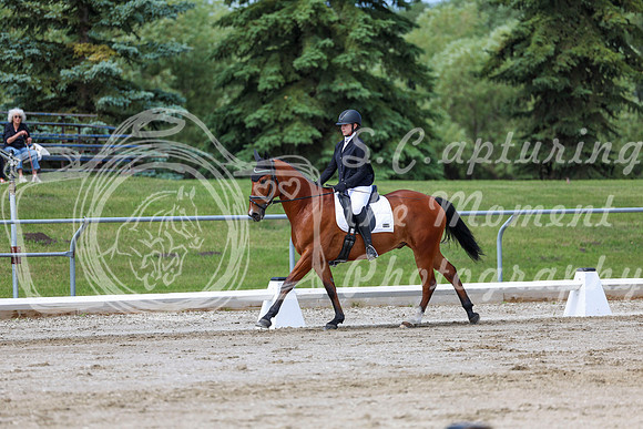 2025 - Dressage Festival - Saturday July 5th - 07376