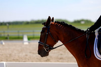 2025 - Dressage Festival - Saturday July 5th - 05151