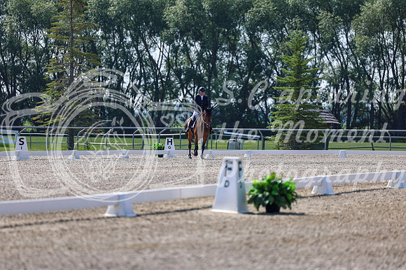 2025 - Dressage Festival - Saturday July 5th - 02374