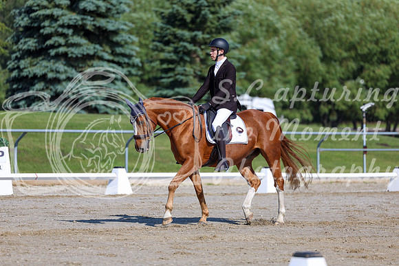 2025 - Dressage Festival - Saturday July 5th - 01655