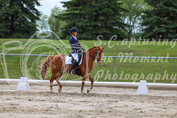 2025 - Dressage Festival - Saturday July 5th - 13800