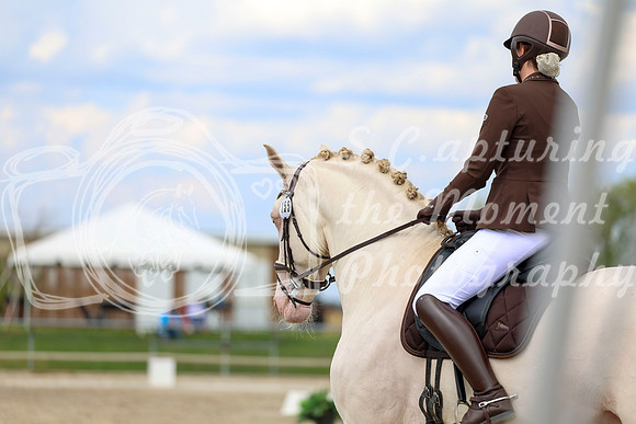 2025 - Dressage Festival - Saturday July 5th - 12075