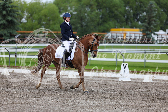 2025 - Dressage Festival - Sunday July 6th - 07627
