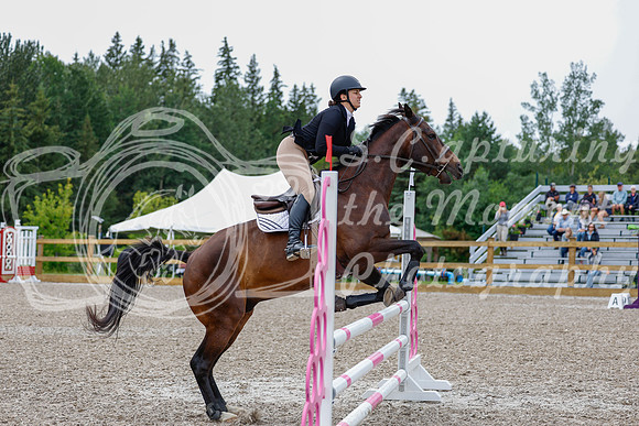 2025 - Haylee - Picco Horse Show - Friay July 25th 02548