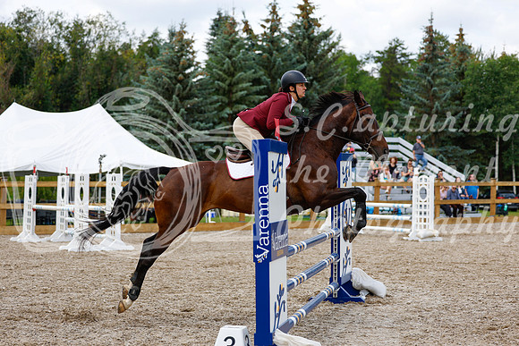 2025 - Haylee - Picco Horse Show - Saturday July 26th 06635