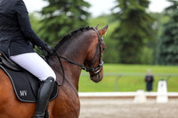 2025 - Dressage Festival - Sunday July 6th - 09012
