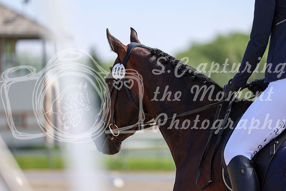 2025 - Dressage Festival - Saturday July 5th - 03550