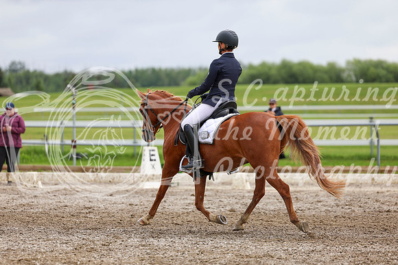 2025 - Dressage Festival - Sunday July 6th - 12329