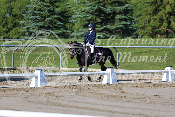 2025 - Dressage Festival - Saturday July 5th - 00642