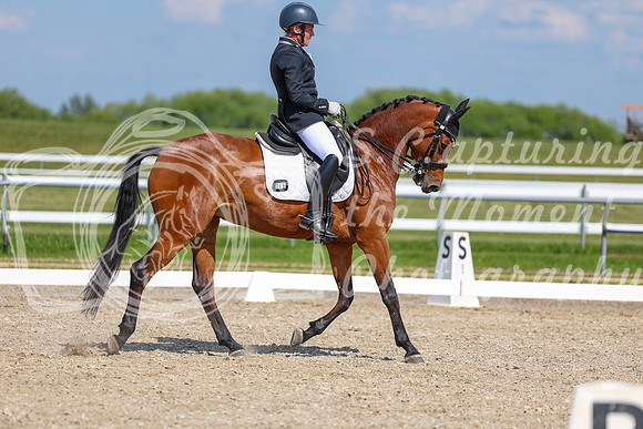 2025 - Dressage Festival - Saturday July 5th - 15529