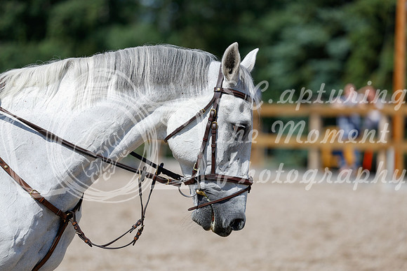 2025 - Haylee - Picco Horse Show - Thursday July 24th 02456