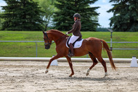 2025 - Dressage Festival - Saturday July 5th - 14153