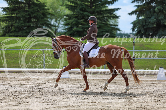2025 - Dressage Festival - Saturday July 5th - 14153