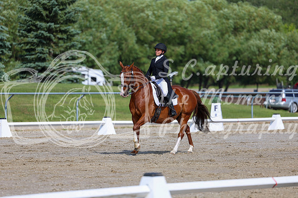 2025 - Dressage Festival - Saturday July 5th - 02601
