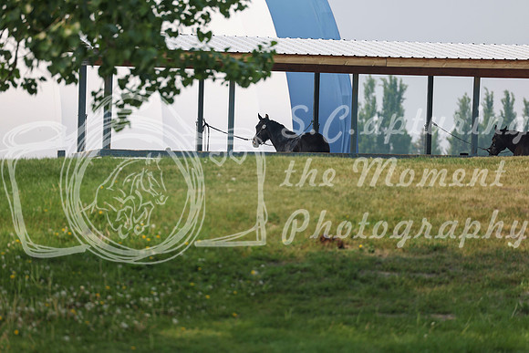 2025 - Shea - June Classic I - Wednesday June 11th - 03505