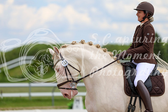 2025 - Dressage Festival - Saturday July 5th - 12149