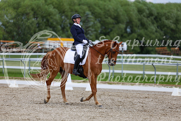 2025 - Dressage Festival - Saturday July 5th - 12475